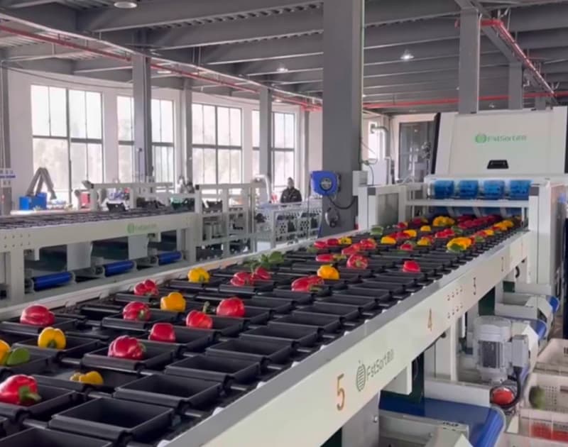 images/1753780866362pepper optical sorter.jpg